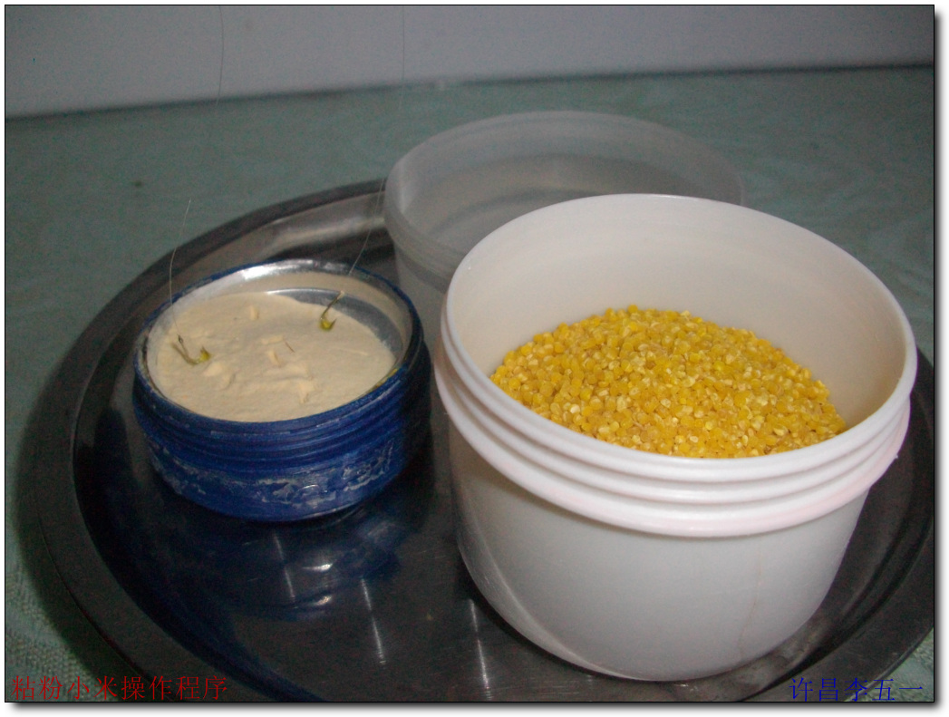 钓鲫鱼`粘粉小米操作程序有图-作者：许昌李五一