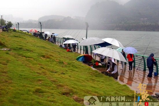 千人万杆钓鱼邀请赛开赛 东盟钓手齐聚柳江江畔