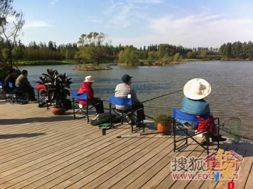 蓝石·大溪地2011年业主秋季钓鱼大赛11.6开竿垂钓 图