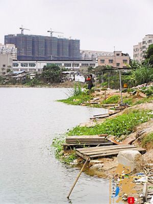 深圳情人湖成了钓鱼场 垂钓一天莫名被人收费 图