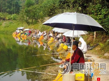 82名钓鱼高手同台竞技