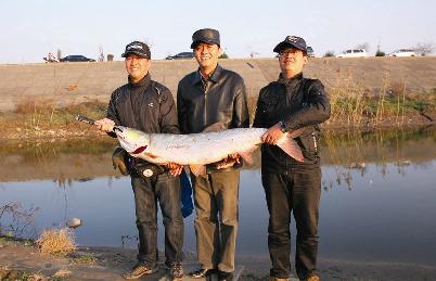 泰兴钓鱼协会秘书长周岗钓起50斤重鳡鱼