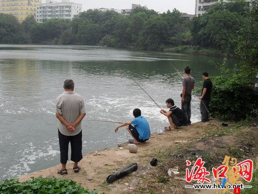 海口湖中禁止钓鱼警示牌形同虚设 图