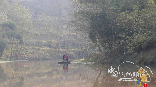 鲫鱼控——何去何从！