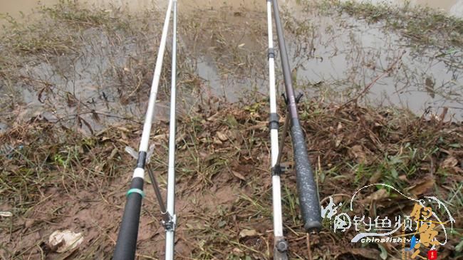 鲫鱼控——何去何从！