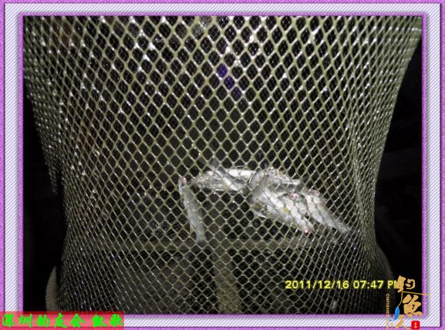 鱼获已够一碟下酒菜啦