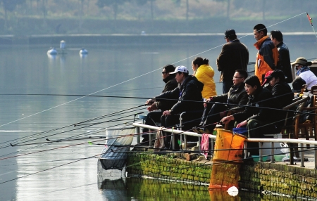 资深钓友在双流举行钓鱼比赛