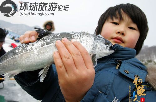 万人破洞垂钓山川鱼 韩国冰上捕鱼节