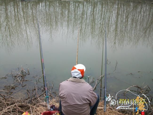 钓不尽的泵站河【305】三箭齐发冬钓鲫
