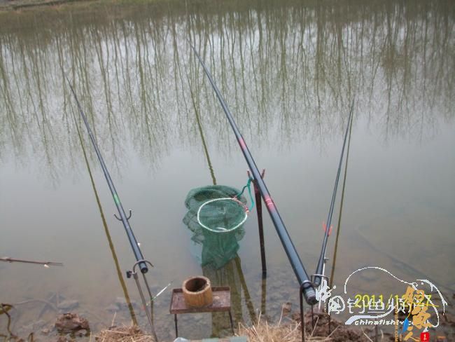 钓不尽的泵站河【305】三箭齐发冬钓鲫