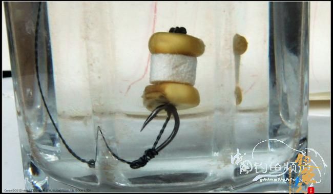 我用的对付大家伙的利器有新发展,多图