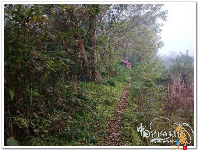 野钓日记----周日锦河行,钓友:皤然一翁