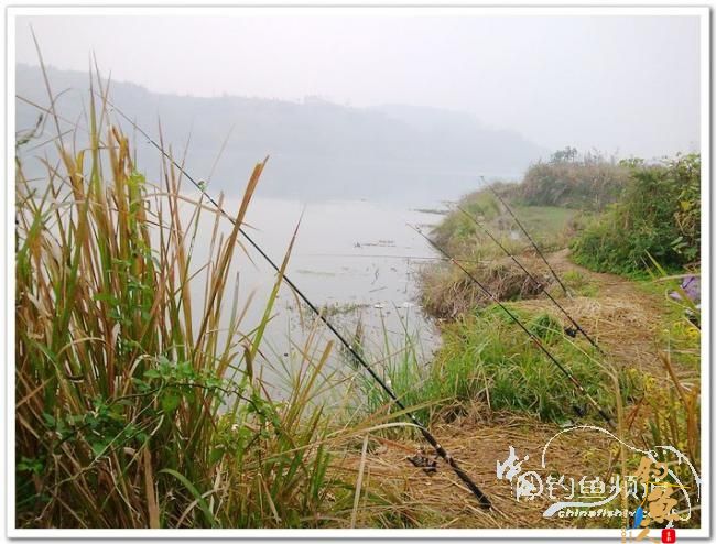 野钓日记----周日锦河行,钓友:皤然一翁