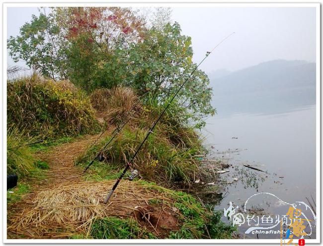 野钓日记----周日锦河行,钓友:皤然一翁