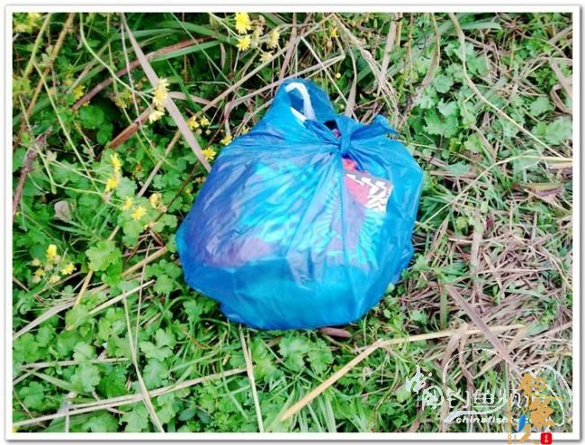 野钓日记----周日锦河行,钓友:皤然一翁