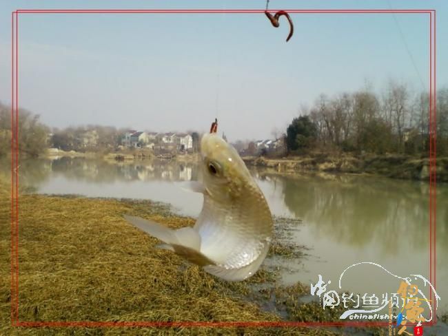 【原创】沙塘奇遇-野战旅长