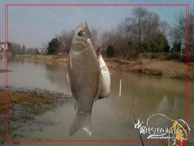 【原创】沙塘奇遇-野战旅长