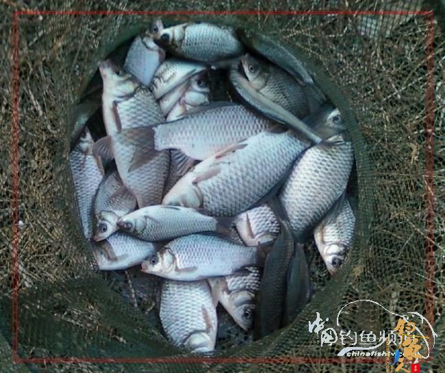 【原创】沙塘奇遇-野战旅长