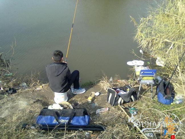 钓不尽的京杭运河22之麦穗当道 图