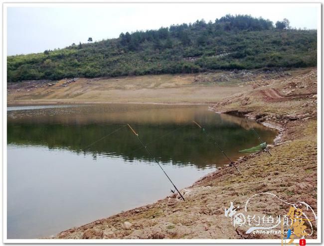 野钓日记----今冬首往岩门溪