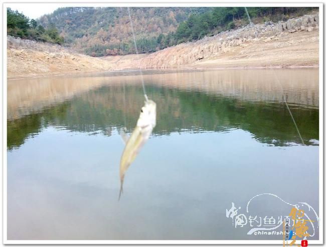 野钓日记----今冬首往岩门溪