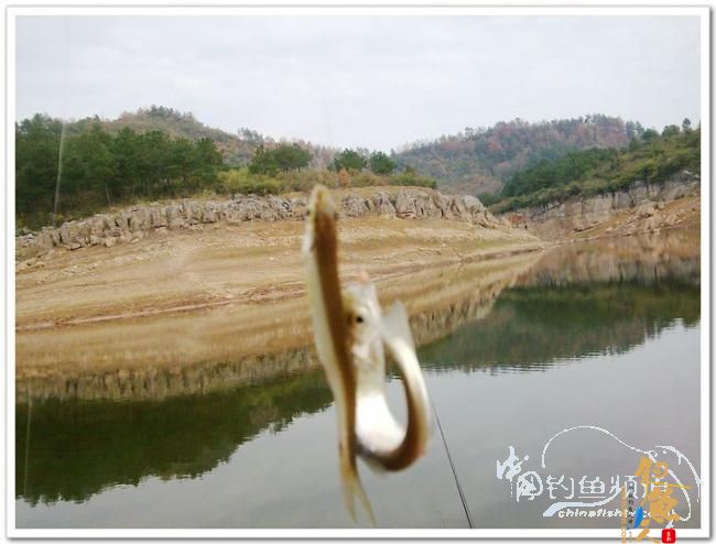 野钓日记----今冬首往岩门溪