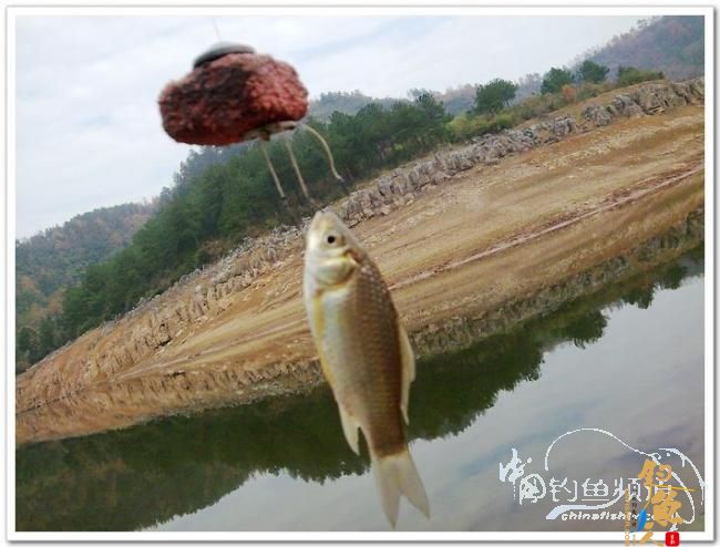 野钓日记----今冬首往岩门溪