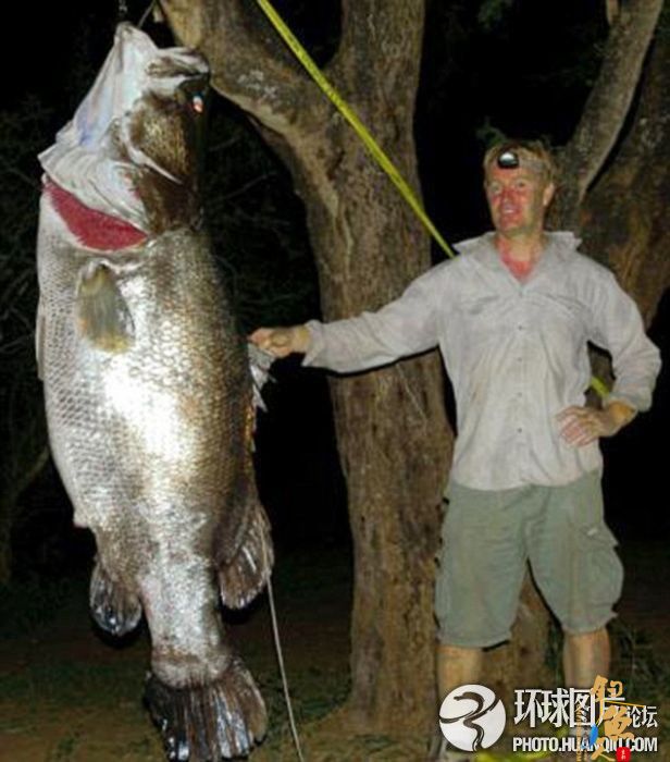 英国男子从鳄鱼口中夺回巨型鲈鱼