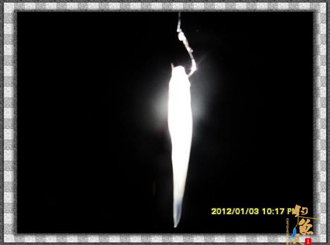 2012002夜钓破纪录 3个小时的鱼获 图