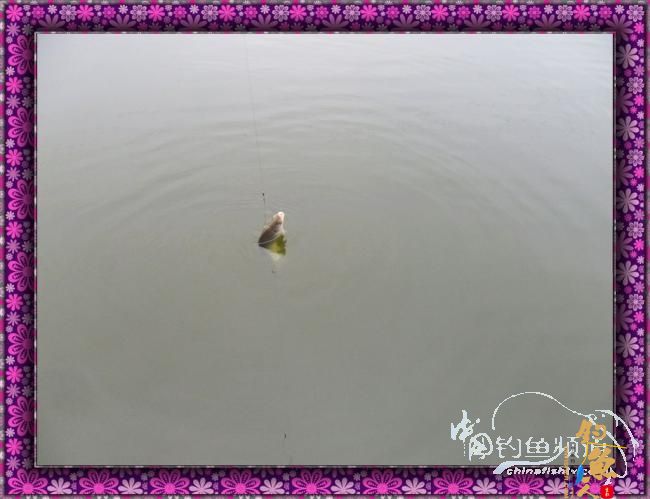 新年里开竿大吉哦，讨个彩头！图