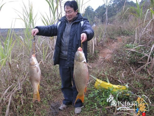 【原创】《凤亭水库战役》《2011回顾》图