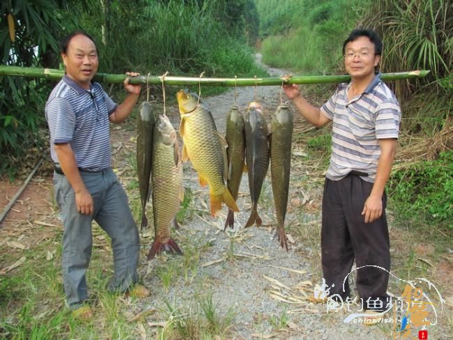 【原创】《凤亭水库战役》《2011回顾》图