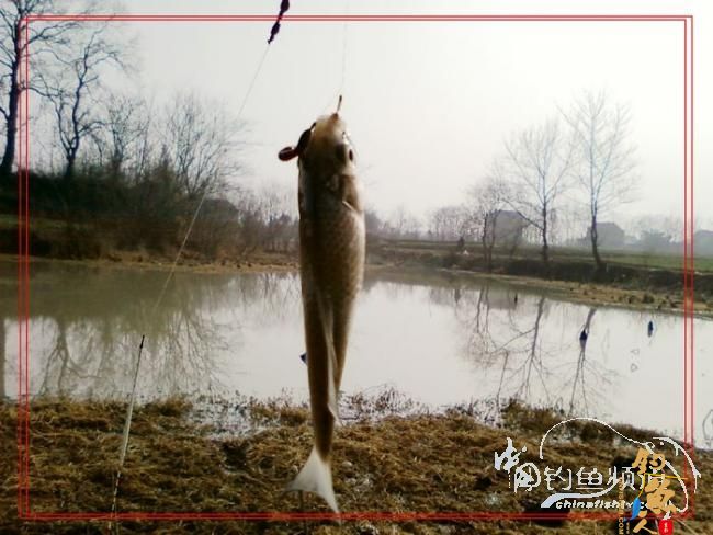 再战老地方【原创首发】