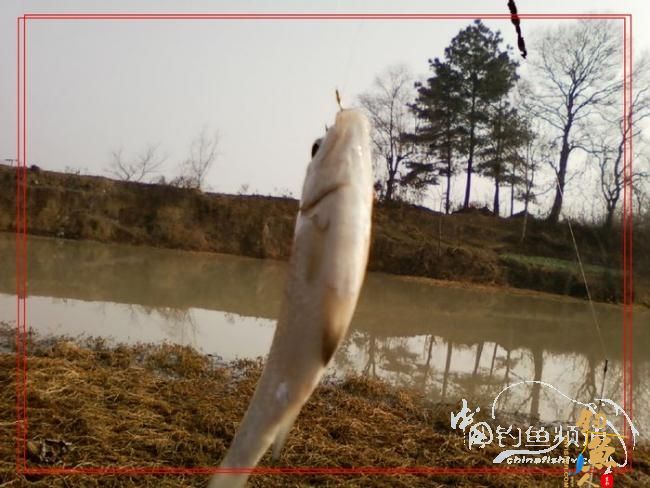 再战老地方【原创首发】