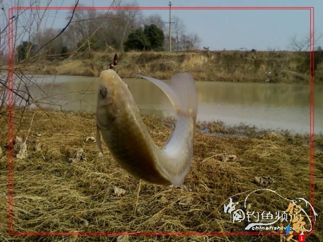 再战老地方【原创首发】