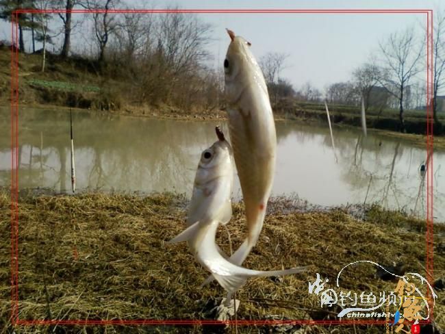 再战老地方【原创首发】