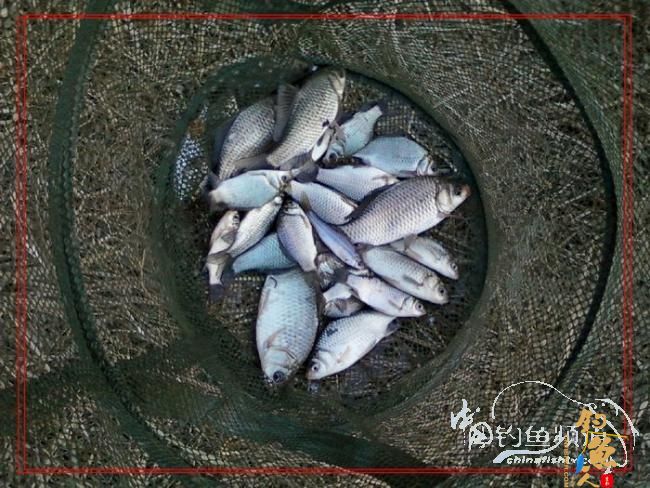 再战老地方【原创首发】