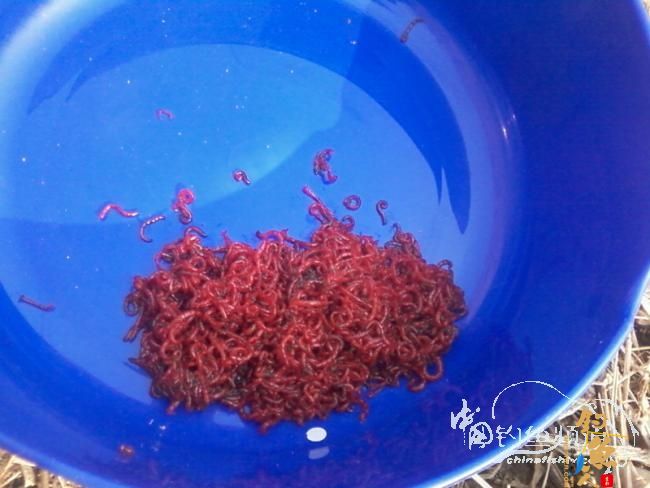 2011年的最后三脚不好踢【原创】 图