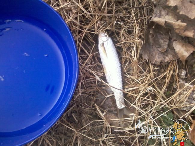 2011年的最后三脚不好踢【原创】 图