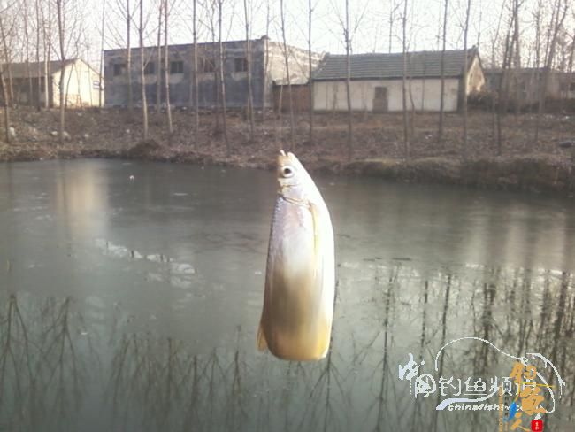 2011年的最后三脚不好踢【原创】 图