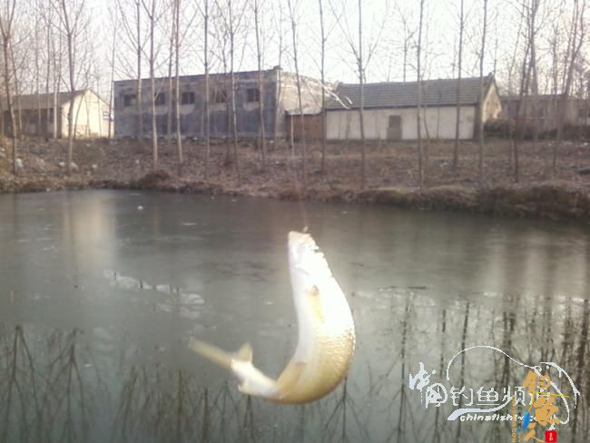 2011年的最后三脚不好踢【原创】 图