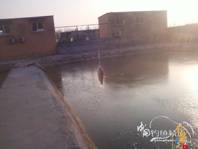 2011年的最后三脚不好踢【原创】 图