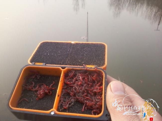 2011年的最后三脚不好踢【原创】 图