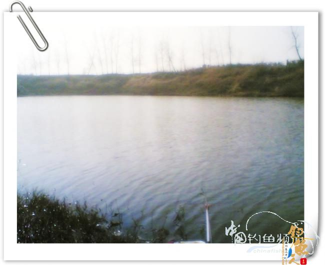 冬日小钓，收获寥寥【原创】