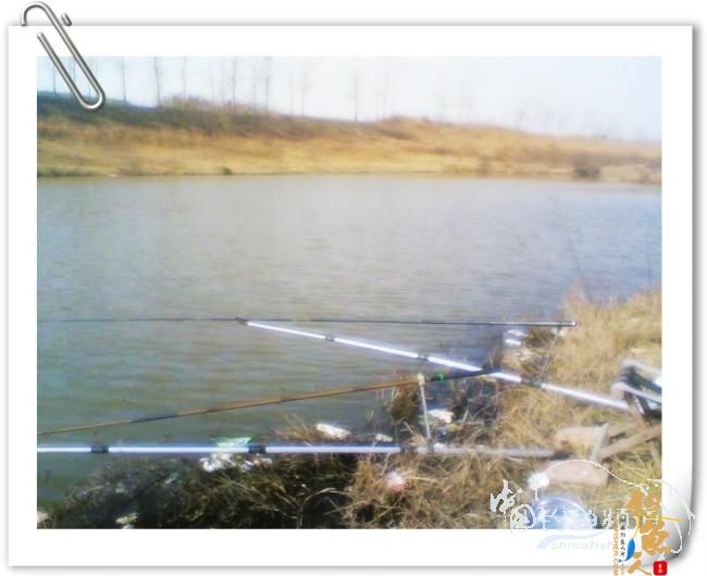 冬日小钓，收获寥寥【原创】