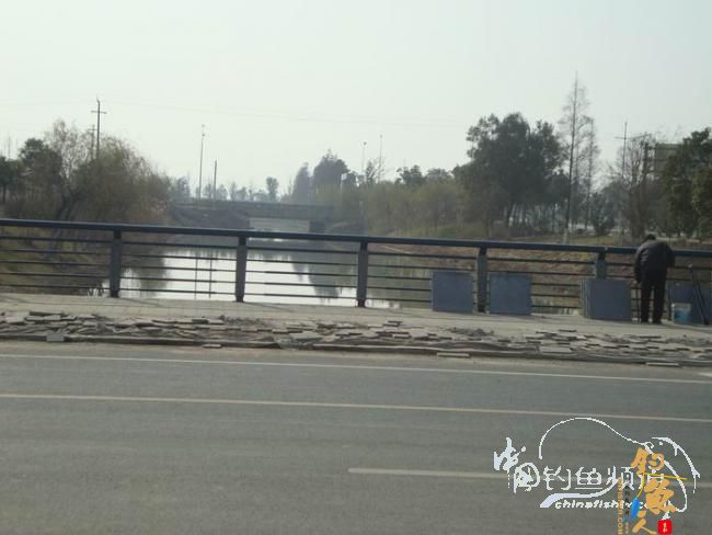 龙年第二钓～小鱼继续闹、钓完放生了