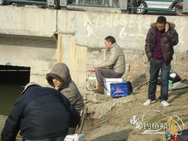 龙年第二钓～小鱼继续闹、钓完放生了