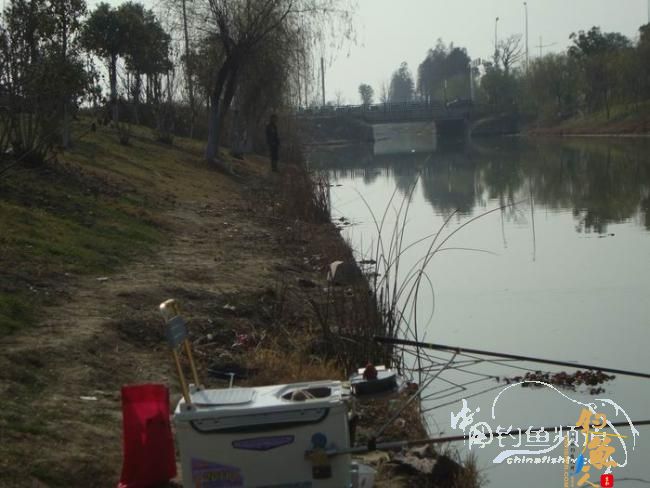 龙年第二钓～小鱼继续闹、钓完放生了