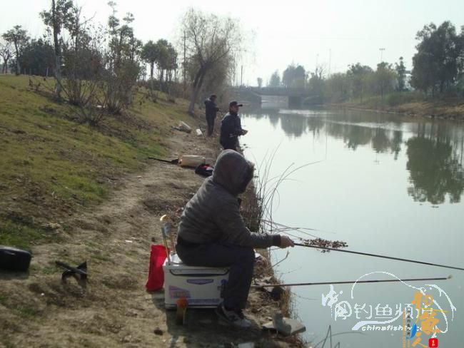 龙年第二钓～小鱼继续闹、钓完放生了