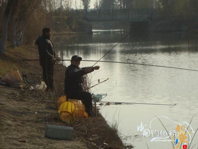 龙年第二钓～小鱼继续闹、钓完放生了